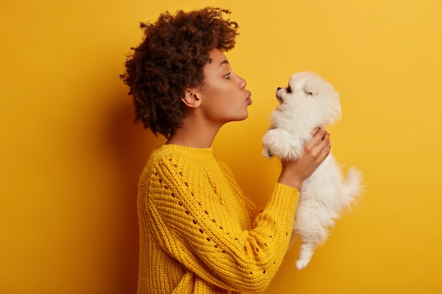 Profiel zijwaarts ontsproten van mooie donkere gevilde vrouw houdt witte pluizige spitz welp over gezicht, wil mooi huisdier kussen, blaast mwah, draagt gebreide trui stelt tegen gele achtergrond.