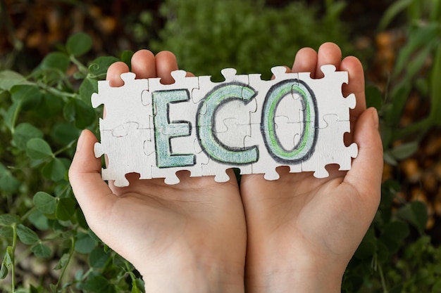 Gratis foto puzzel met de inscriptie eco in handen op de achtergrond van microgreens