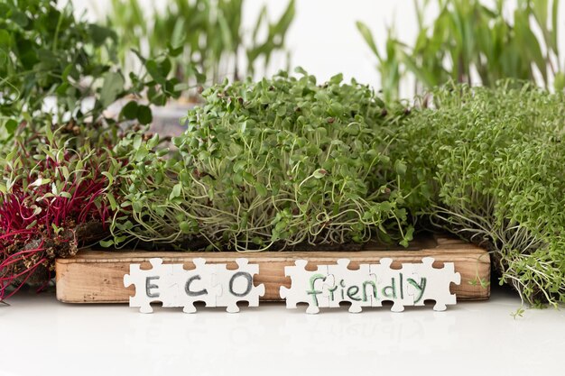 Gratis foto radijs microgreens met zaden en wortels kieming van zaden thuis