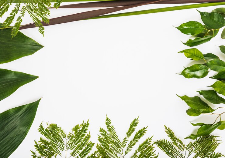 Gratis Foto rand van diverse plant bladeren