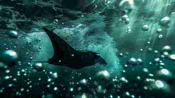 Gratis foto realistische manta ray in zeewater