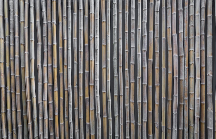 Gratis Foto reed wall