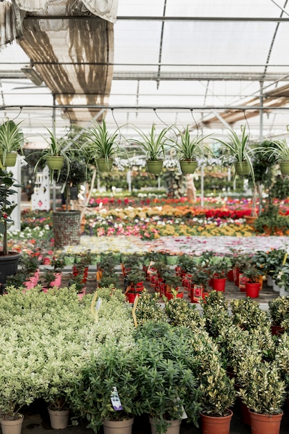 Regeling met markt vol bloemen