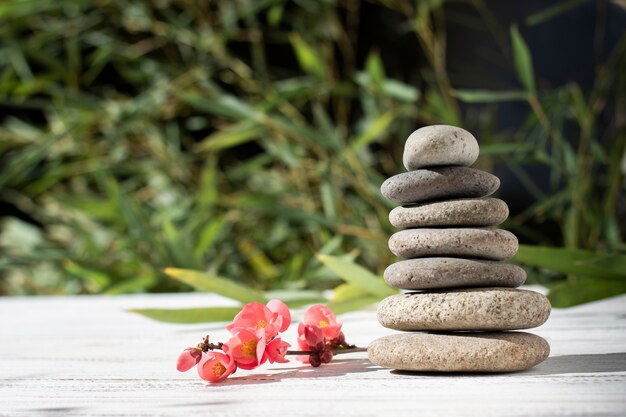 Regeling met spa stenen en bloemen