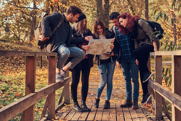 Gratis foto reizen, wandelen, avontuur concept. groep jonge vrienden wandelen in het kleurrijke herfstbos, kijken naar kaart en plannen van een wandeling.