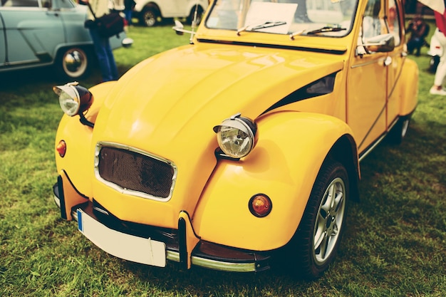 Retro auto geparkeerd op gras