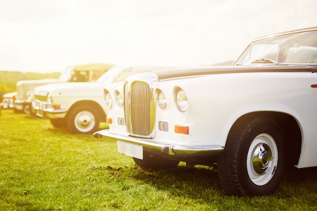 Retro auto geparkeerd op gras