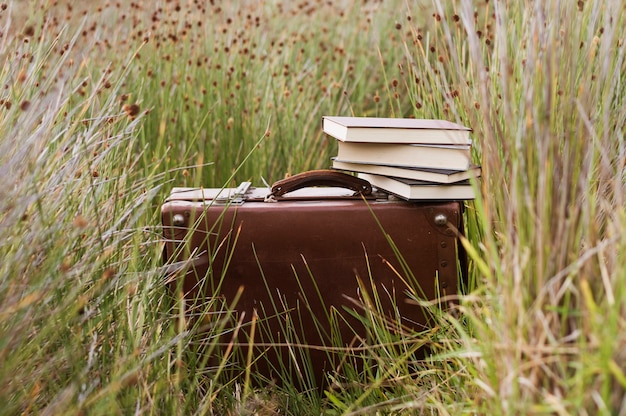 Gratis foto retro koffer met boeken op de top in het gras