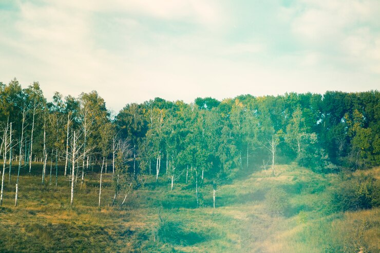 Gratis Foto retro natuurfoto van bloem
