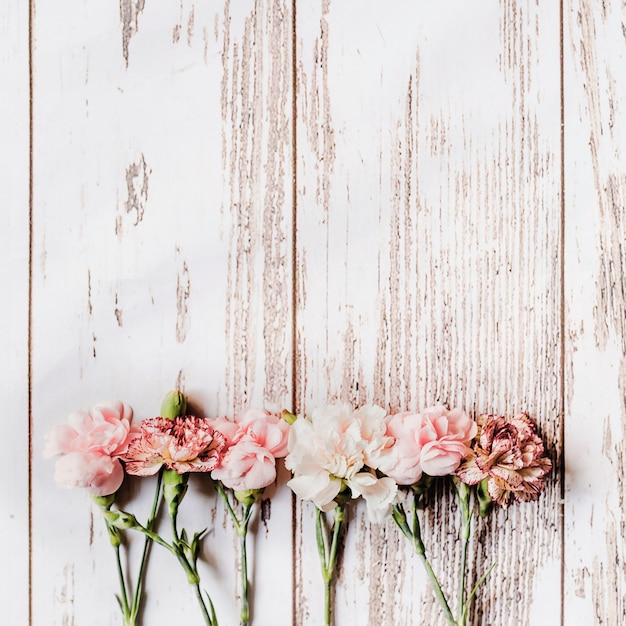 Rij van anjer bloemen gerangschikt op houten tafel