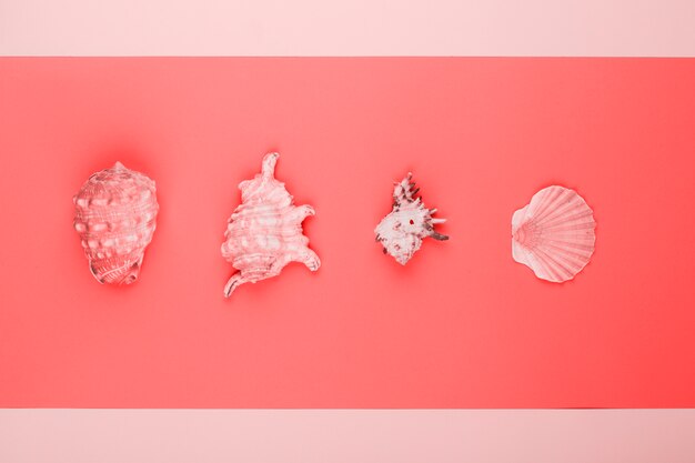 Rij van conch en mantel schelpen op koraal en roze achtergrond