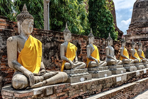 Rij van oude Boeddhabeelden bedekt met gele doek