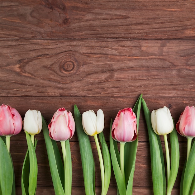 Rij van tulpen op houten gestructureerde achtergrond