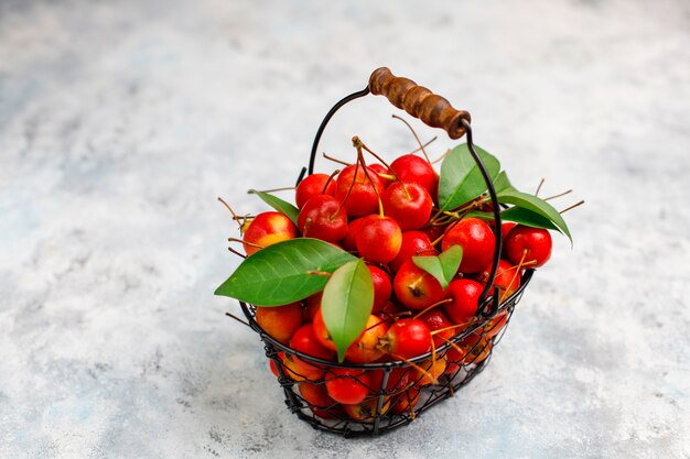 Rijpe rode appels in de mand van het opslagvoedsel