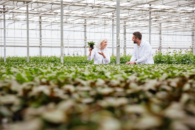 Rijpe tuinlieden die in groen werken