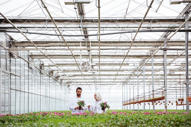 Rijpe tuinlieden die in groen werken