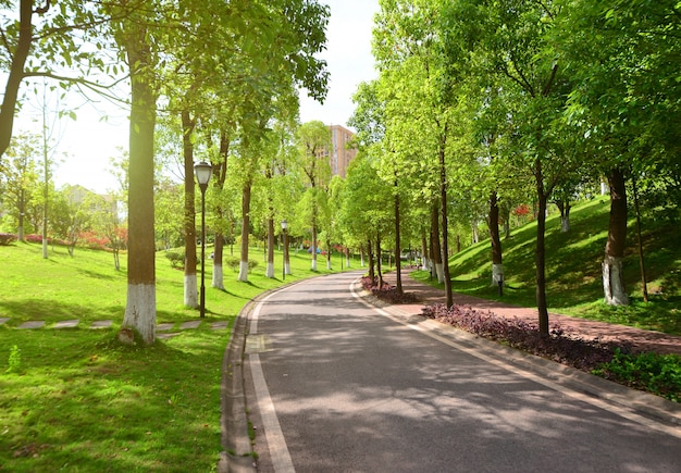 Road en natuur