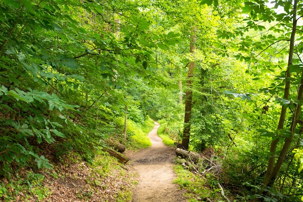 Rock creek park