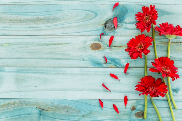 Rode bloemen op blauw houten bureau