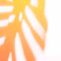 Gratis foto rode en oranje monsteraschaduw op witte achtergrond