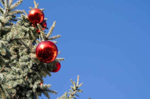 Gratis foto rode kerstballen op een pijnboom met een blauwe achtergrond