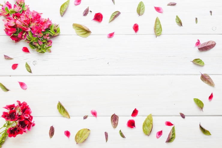 Gratis Foto rode planten en bladeren