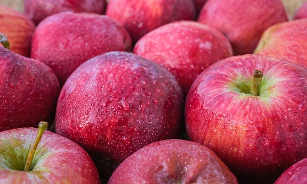 Rode rijpe appels in waterdruppels close-up seizoensgebonden boerderijproducten fruitoogst biologische producten in het winkelidee voor een achtergrond