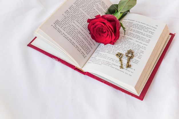 Rode roos tak met toetsen op boek