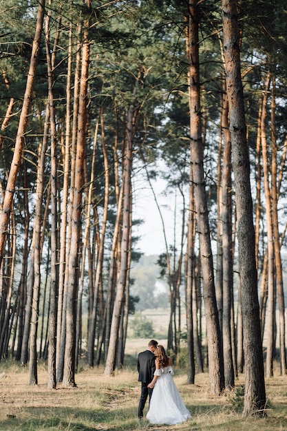 Romantische foto in het sprookjesbos. Mooie vrouw