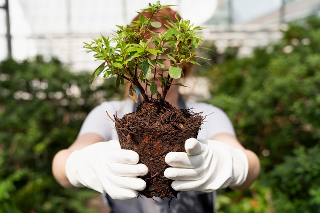 Gratis foto roodharige vrouw zorgt voor haar planten in een kas