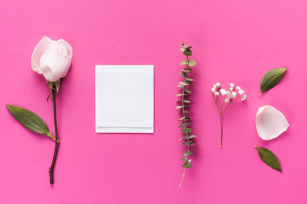 Gratis foto roos met papier en plantentak op tafel