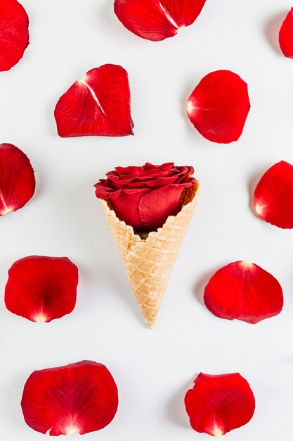 Rose bud in wafelkegel op lijst