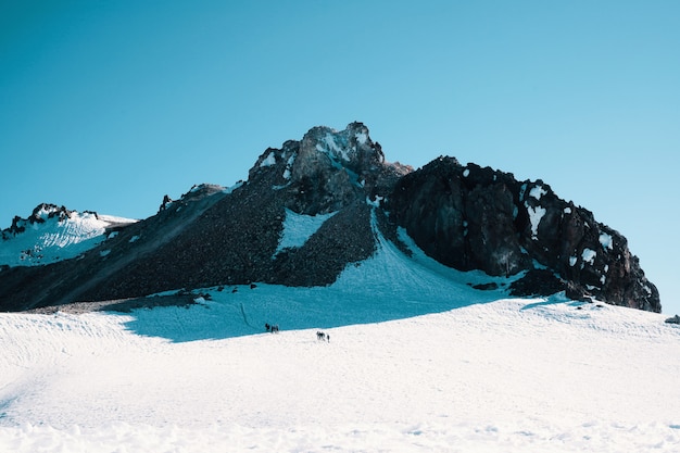 Gratis foto rotsachtige besneeuwde bergen onder de prachtige blauwe hemel