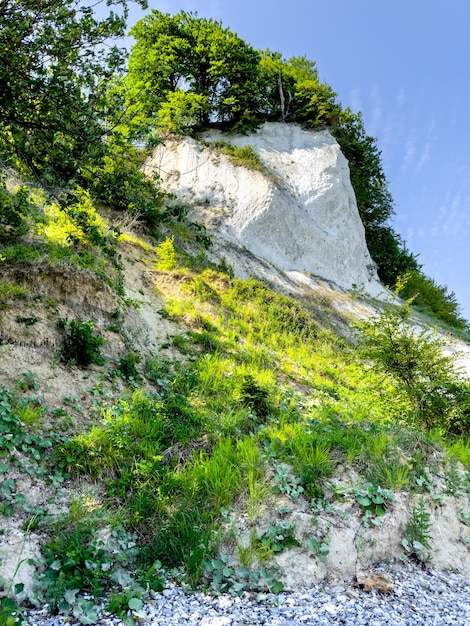 Gratis foto rotsen begroeid met groen aan de kust