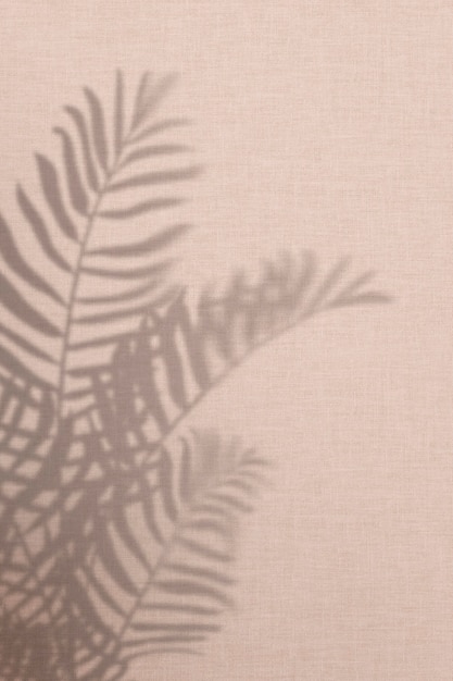 Roze achtergrond met schaduw van palmbladeren