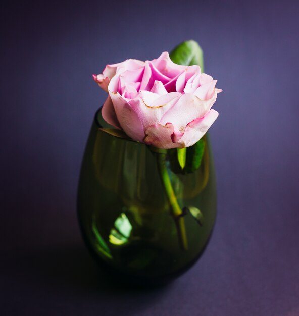 Roze bloem in donkergroen glas op violette achtergrond