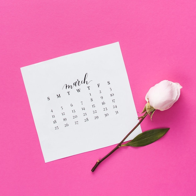 Gratis foto roze bloem met maart-kalender op lijst