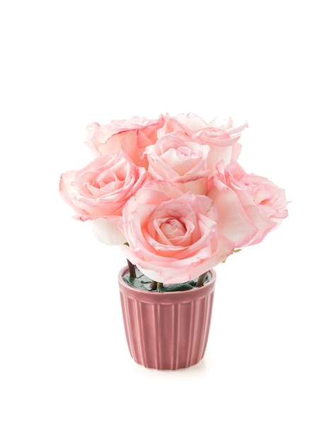 roze en witte roos