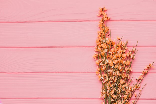 Roze houten oppervlak met decoratieve planten