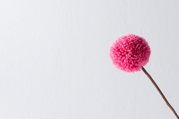 Gratis foto roze pom pom met kopie ruimte