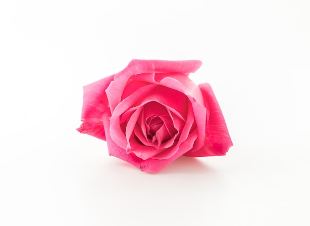 roze roos