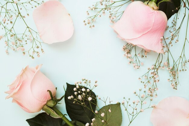 Roze rozen met baby&#39;s-adem bloemen op pastel blauwe achtergrond