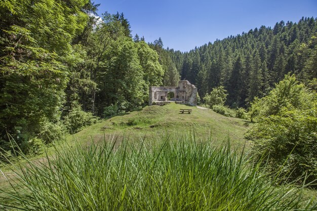 Ruïnes van een oud kasteel in Vuzenica, Slovenië overdag in de zomer