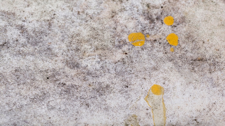 Gratis Foto ruwe buiten textuur achtergrond met gele verf