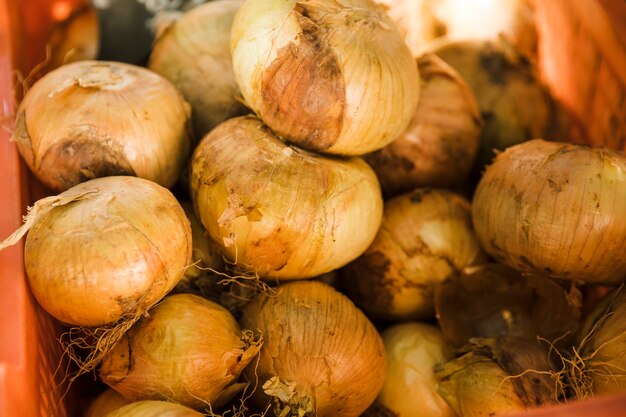 Ruwe gezonde ui in plastic krat voor verkoop