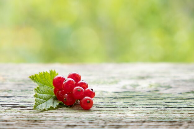 Ruwe rijpe sappige zoete redcurrant bos op een houten bureau in de lentetuin