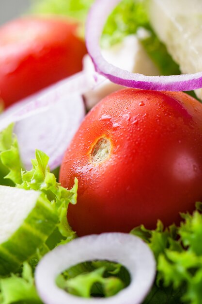 Salade close-up