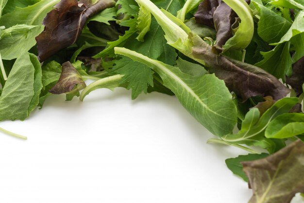 Salade mix met rucola, frisee, radicchio en lamssalade