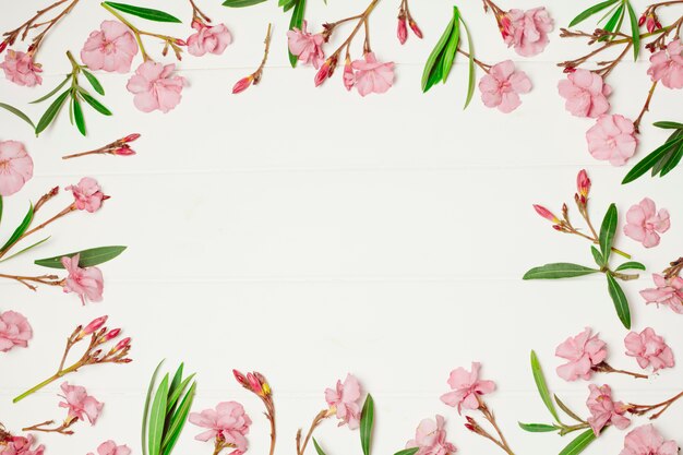 Samenstelling van prachtige roze bloemen en planten