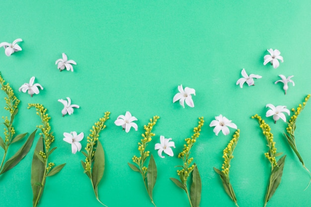 Gratis foto samenstelling van witte bloemen dichtbij groene stengels